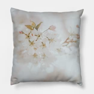 White Cherry Blossom Photo, Atmospheric Oshima Cherry Blossom Close-up Pillow