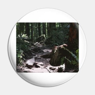 Forest Trail Pin