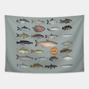 Southeast Asia Freshwater Fish Group Tapestry
