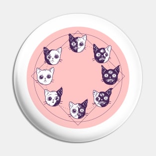 Moon Phase Cats With Background Pin