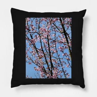 Japanese cherry blossom flowers Pillow