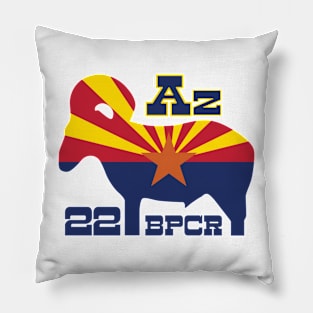 AZ22BPCR Pillow