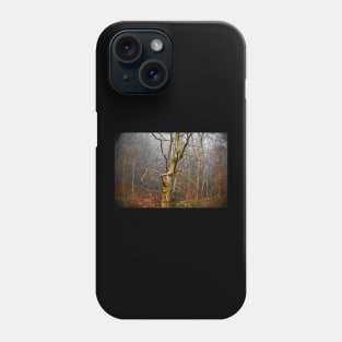 Winter Woodland in Carinthia, Austria Phone Case