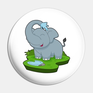 Elephant Bathe Water Pin