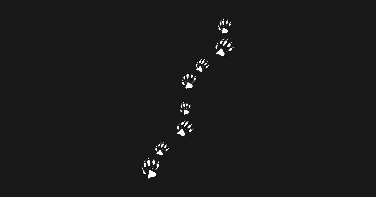 Footprint Raccoon - Raccoon Art - Magnet | TeePublic