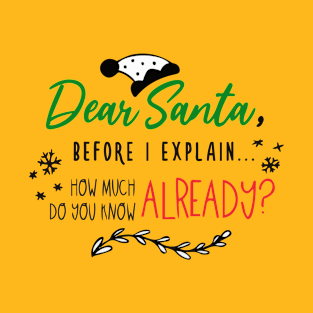 Dear Santa Funny Humor Gift for Her and Him T-Shirt