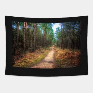 Forest Path Through the Trees Tapestry