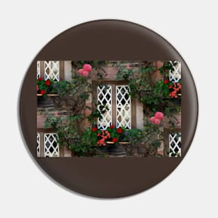 Fairy-Tale Window Pin