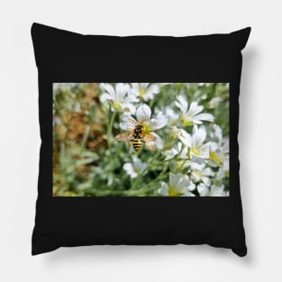 Bee Sitting on White Field Flowers Pillow