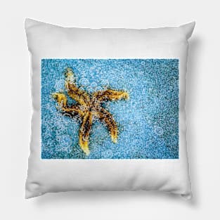 Frozen Starfish Pillow