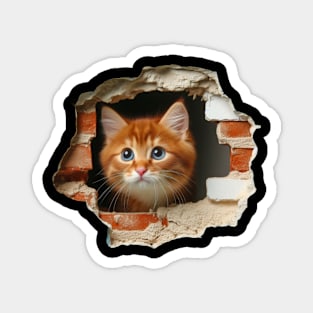 Sweet cat poking its head out from a wall opening Magnet