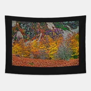 Autumn Colours Tapestry