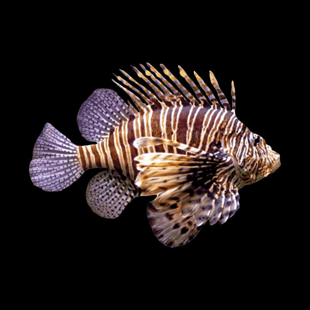 Lion fish by AD-official