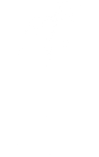 American Bulldog funny gift Shirt Magnet