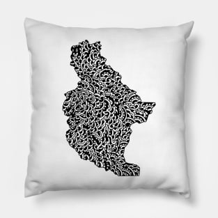 Chelan County, Washington Pillow