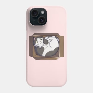 Cat Curled Up In Box Phone Case