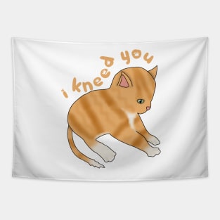 I Kneed you (fluffy orange cat) Tapestry