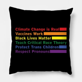 Climate Change, BLM, Critical Race, Trans Rights, Pronouns Pillow