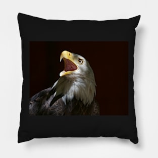 Bald Eagle Pillow