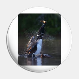 Pisces Rising - Common Loon Pin