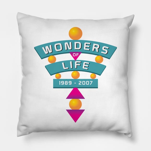 Wonders of Life Pillow by Super20J