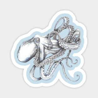 Octopus on blue Magnet