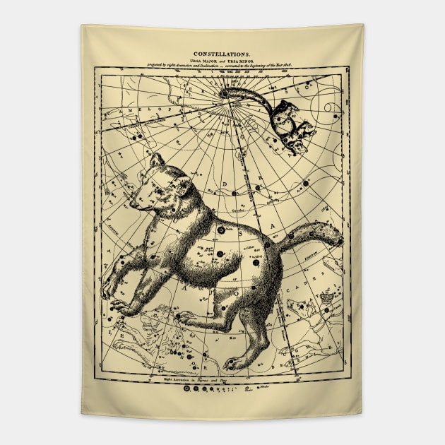 Ursa Major and Minor Constellation Map - Aesthetic, Astronomy, Space Tapestry by SpaceDogLaika