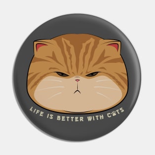 Life is better with cats Pin