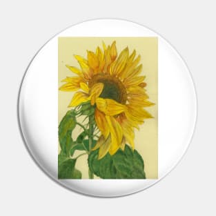 Sunflower watercolour painting Pin