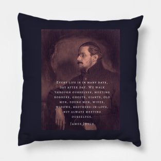 Copy of James Joyce portrait and quote: Every life is in many days, day after day. .. Pillow