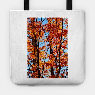 Vermont Red Maples Tote