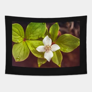 Bunchberry flower Tapestry