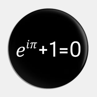 Maths And Science Eulers Pin