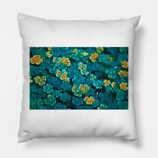 Irish Clover Pillow