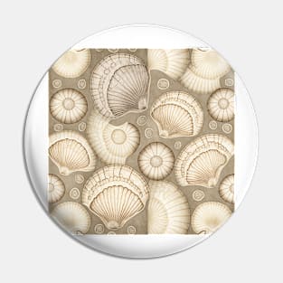 Taupe vintage seashells Pin