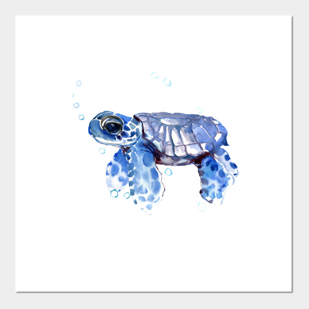 Baby Sea Turtle Sea Turtle Affiche Et Impression D Art Teepublic Fr