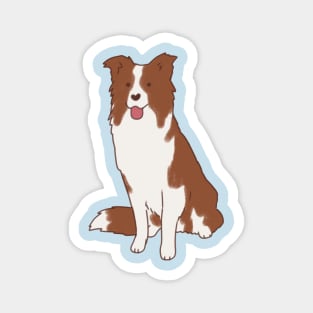 Brown border collie dog Magnet