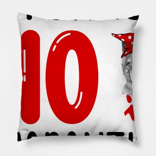 I Turned 40 In Quarantine Funny Cat Facemask Pillow