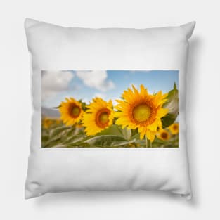 Happy Sunflowers Pillow