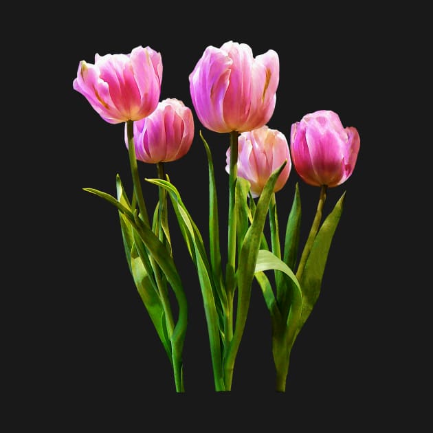 Pink Pastel Tulips by SusanSavad