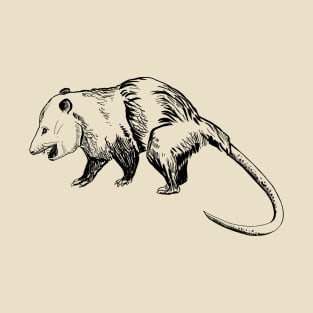 opossum T-Shirt