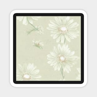 Antique Vintage White Ivory Daisy Floral Illustration Magnet