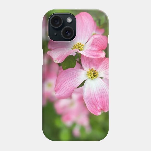 Dogwood Flowers in Spring Phone Case by Nicholas Lee
