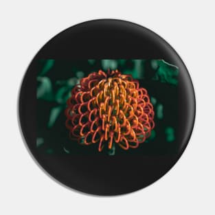 Dark Tropical Flower | Dark Orange and Dark Green | Moody flower Pin