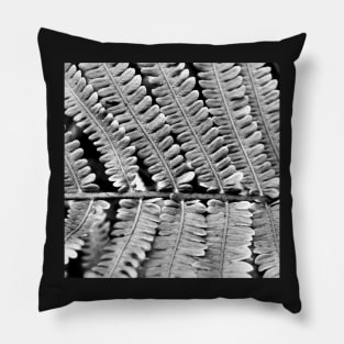 Matteuccia orientalis (black and white) Pillow