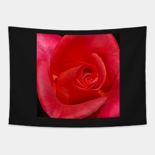 Unfurling Rose Tapestry