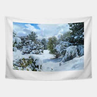 Pristine Winter Chill Tapestry