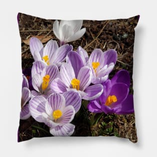 Lispe Purple and White Spring Crocus Pillow