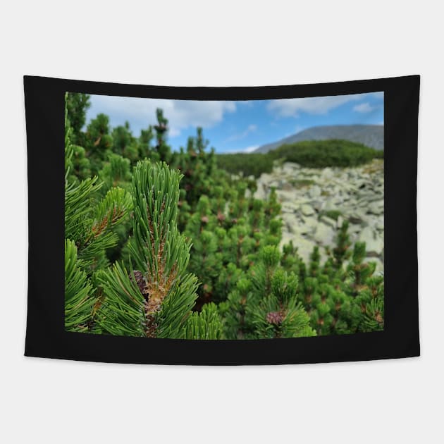 Mountain Pine Tree View Tapestry by Anastasia-03