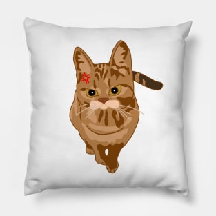 Maddo Catto Pillow